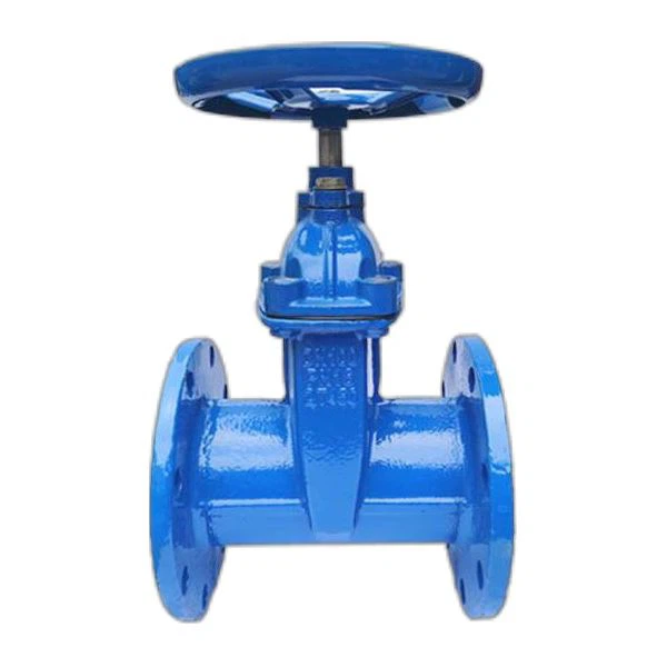Stainless Steel Stem Soft-sealed Gate Valve